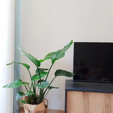 Ribeira Apartamento *